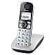 DECT Panasonic KX-TGE510RUS, Silver..