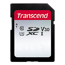 .256GB SDXC Card (Class 10)  UHS-I,..