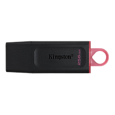 256GB  USB3.2 Flash Drive Kingston ..