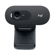Camera Logitech C505e, 720p, FoV: 6..