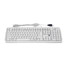 Keyboard Genius KB-06XE USB White..
