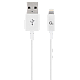 Blister Lightning 8-pin/USB2.0,   2..