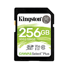 .256GB  SDXC Card (Class 10) UHS-I ..