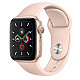 Apple Watch 5 40mm/Gold Aluminium C..