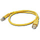 0.5m, FTP Patch Cord  Yellow, PP22-..