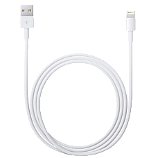 Original iPhone Lightning USB Cable..