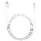 Original iPhone Lightning USB Cable..