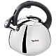 Kettle Tefal K2481574..