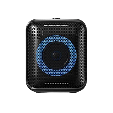 Portable Audio System F&D PA100, 40..