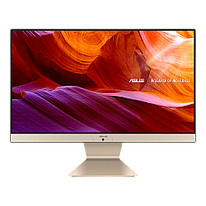 Asus AiO V222 Black (21.5