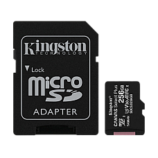 256GB MicroSD (Class 10) UHS-I (U3)..