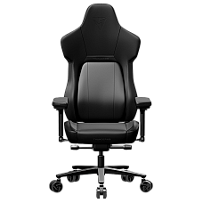 Ergonomic Gaming Chair ThunderX3 CO..