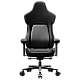 Ergonomic Gaming Chair ThunderX3 CO..