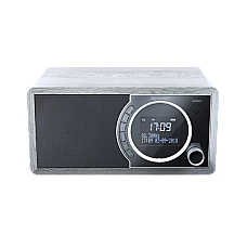 Sharp  DR-450GRV02, Portable Digita..
