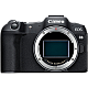 DC Canon EOS R8 BODY..