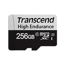 256GB MicroSD (Class 10) UHS-I (U3)..