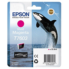 Ink Cartridge Epson T760 SC-P600 Vi..