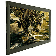 Fixed Frame Projection Screen SOPAR..