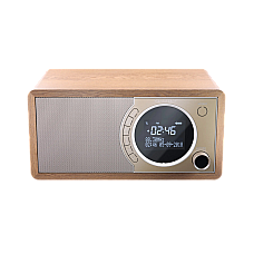 Sharp  DR-450BRV03, Portable Digita..