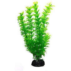 AQUAEL plante din plastic Plastic P..