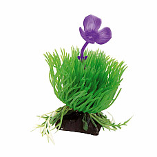 Ferplast plante din plastic ACORUS ..