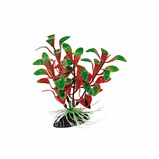 Ferplast plante din plastic ROTALA ..