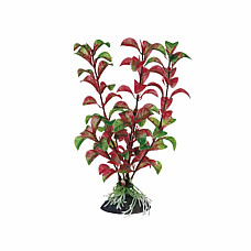Ferplast plante din plastic ROTALA ..