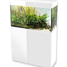 AQUAEL Acvariu GLOSSY ST 100..