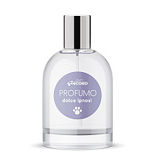 Парфюм RECORD IPNOTIC SWEET 100 ML..