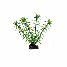 FERPLAST пластик. растение EGERIA 4..