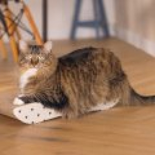 Beeztees scrubber pentru pisici din carton POEZEL Bej 50cm