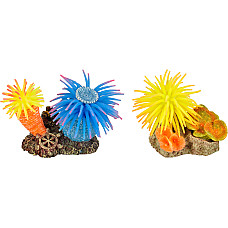 Decor din plastic Leo Anemone As.