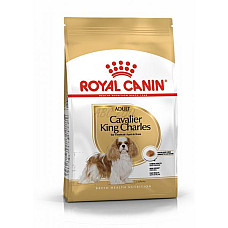 ROYAL CANIN CAVALIER KING CHARLES A..