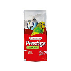 Budgies Prestige..