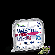 MONGE VETSOLUTION DOG RECOVERY 150g..