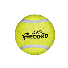 Record Мяч теннисный TENNIS FUN 5cm..