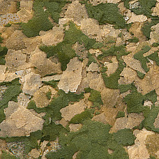 SERA Vipan Nature Large Flakes 1000..