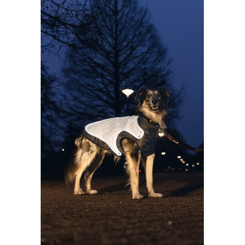 Geacă reflectorizantă Beeztees ALLIA Grey 36