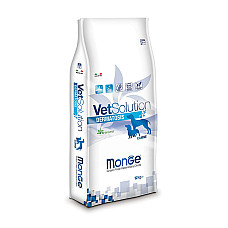 MONGE DRY VETSOLUTION DOG DERMATOSI..