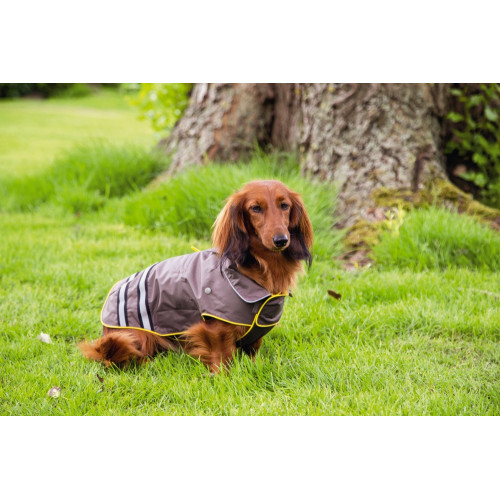 Beeztees Плащ SEJA Grey/Yellow 68