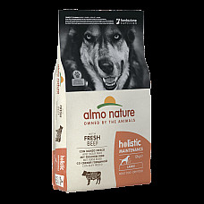 ALMO NATURE DRY Dog HOLISTIC L Beef..