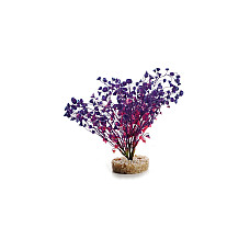 Растение пластик. Aqa Friend Wild Plant