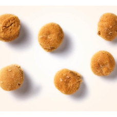 Antos Insecta Nibbles Musca Soldatu..