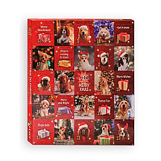Antos Christmas Advent Calendar Dogs
