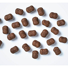 Antos Buddies Venison..