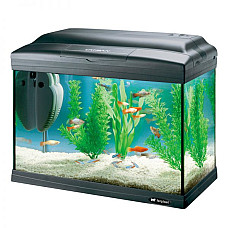 Acvariu CAYMAN 40 CLASSIC..