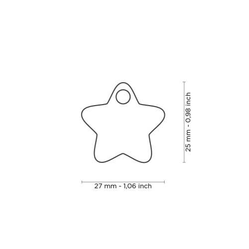 Медальон TURQUOISE SMALL STAR CHARMS