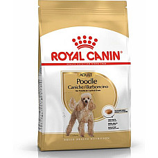 ROYAL CANIN POODLE ADULT..