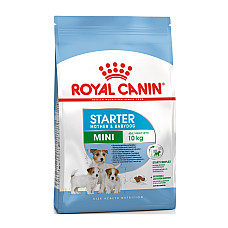 ROYAL CANIN MINI STARTER 4kg..