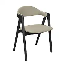 Scaun Logan Ambrella 09+Black Legs..